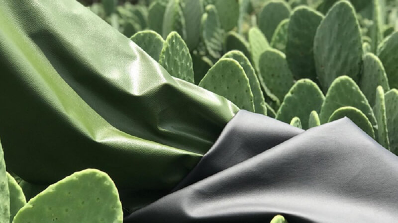 Cactus Leather
