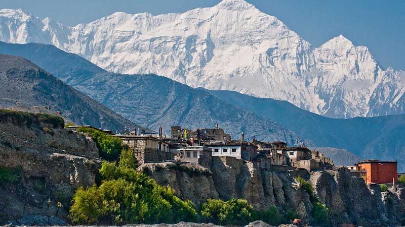 Gasoline Prices Around The World