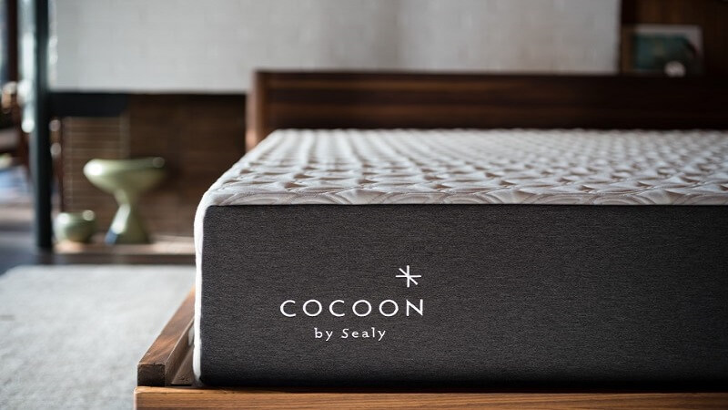 cocoon mattress