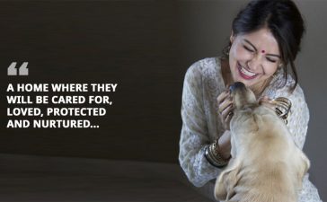 Anuskha Sharma 30th Birthday Animal Shelter