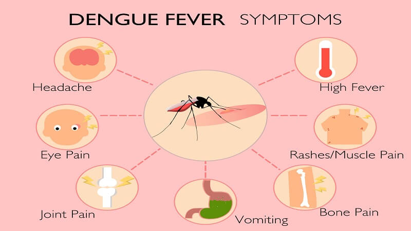 Dengue