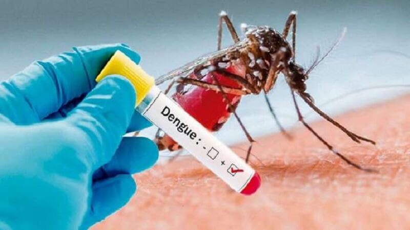 Dengue