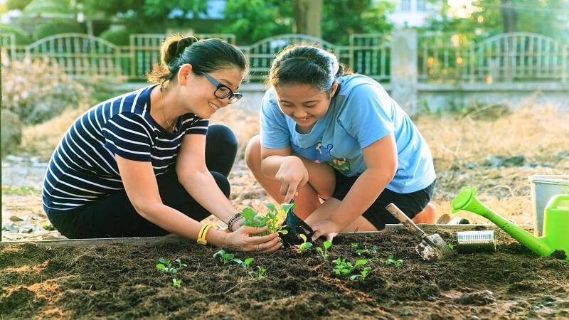 planting