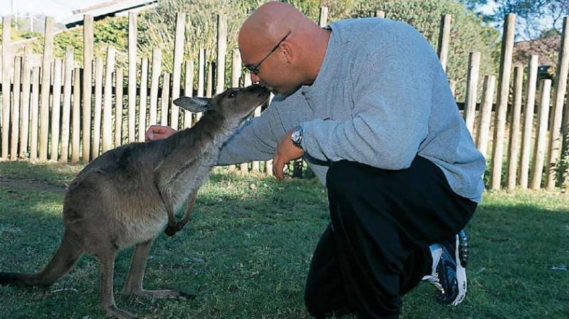 Goldberg Animal Lover