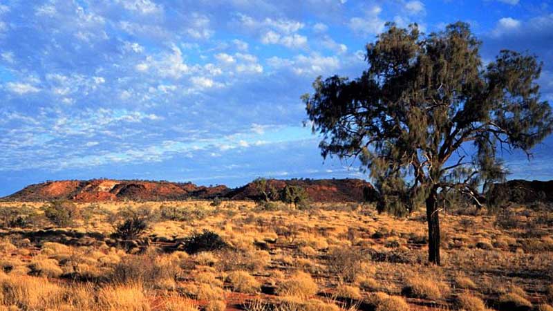 Hottest Temperature in Australia