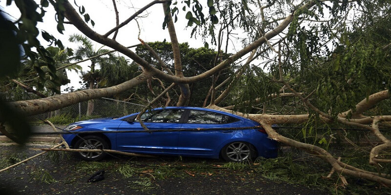 hurricane irma