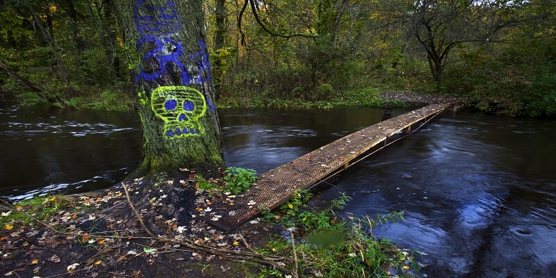 Mysterious bridges