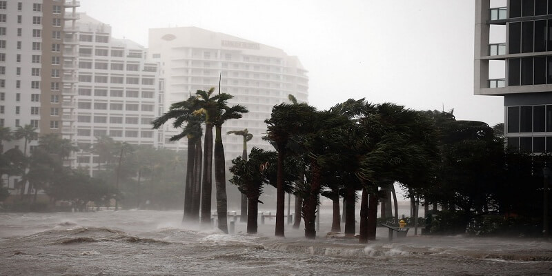 hurricane irma