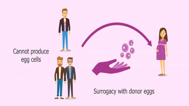 surrogacy